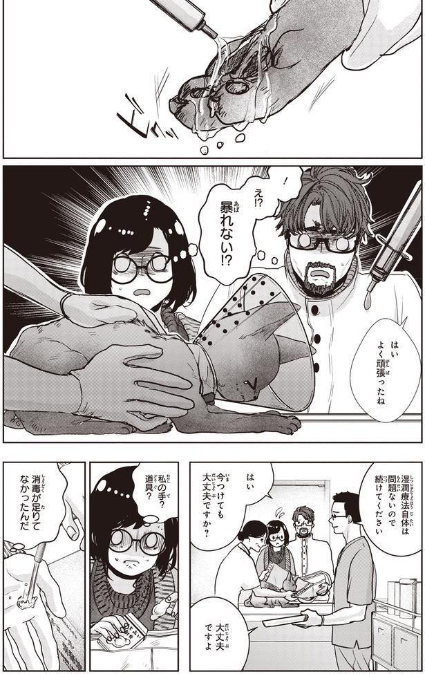 暴れない！？ (C)叶輝、朝待夜駆／KADOKAWA