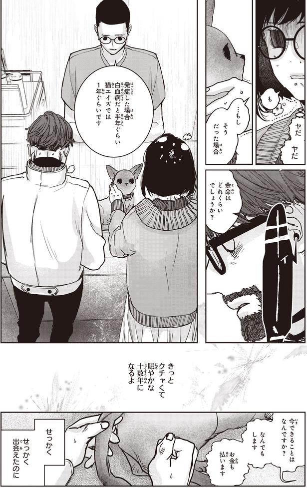 なんでもします (C)叶輝、朝待夜駆／KADOKAWA