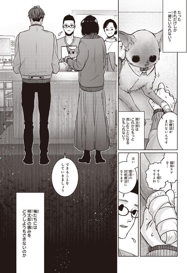 治療法がまだないんです (C)叶輝、朝待夜駆／KADOKAWA