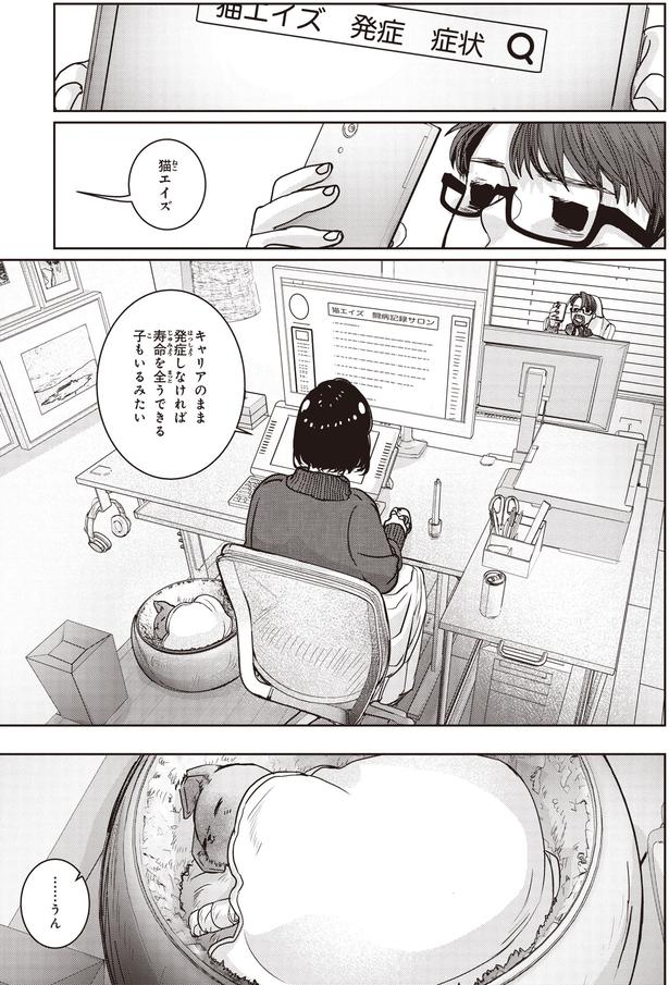 猫エイズ (C)叶輝、朝待夜駆／KADOKAWA