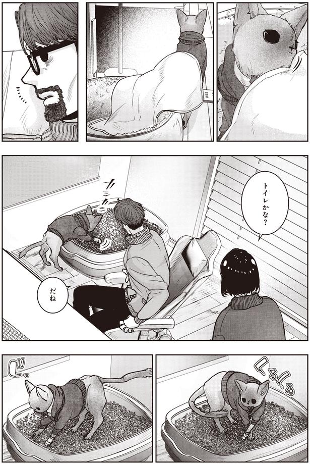 トイレかな (C)叶輝、朝待夜駆／KADOKAWA