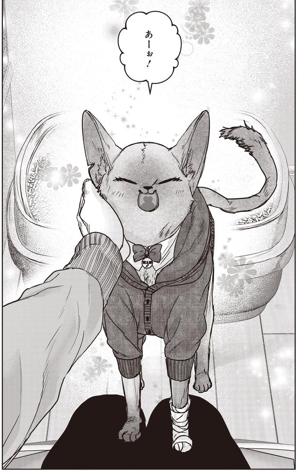 あーぉ！ (C)叶輝、朝待夜駆／KADOKAWA