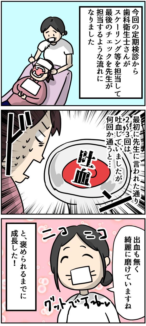 13-1 画像提供：しゃけなかほいさん