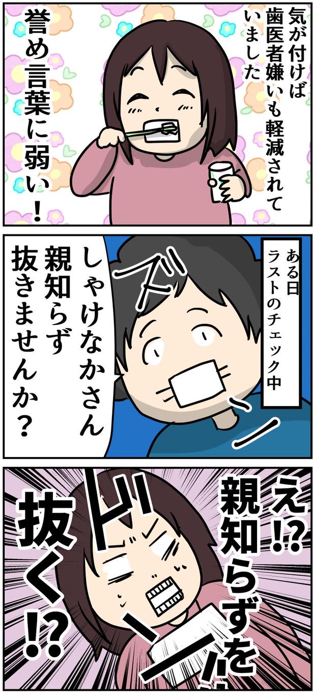 13-2 画像提供：しゃけなかほいさん