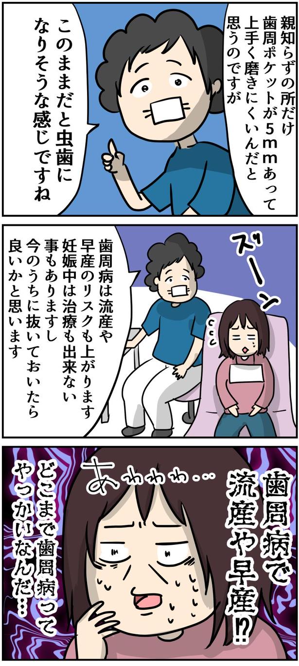 14-1 画像提供：しゃけなかほいさん