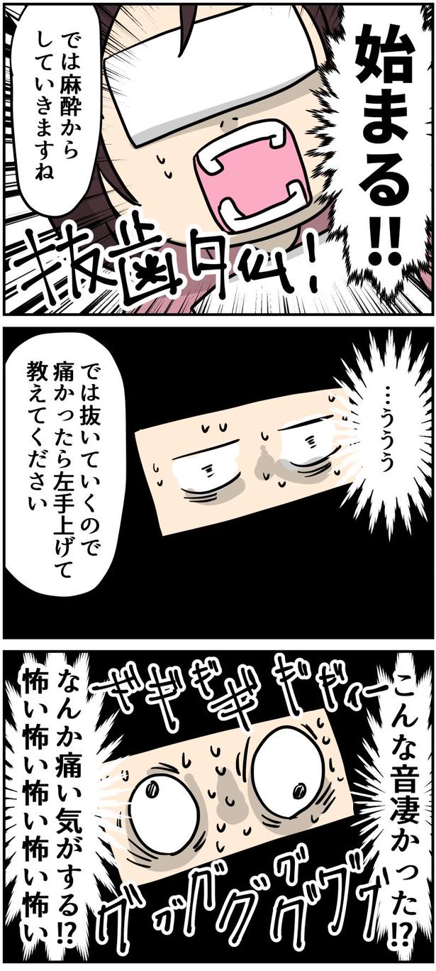 16-1 画像提供：しゃけなかほいさん
