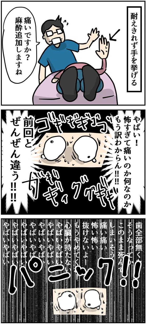 16-2 画像提供：しゃけなかほいさん