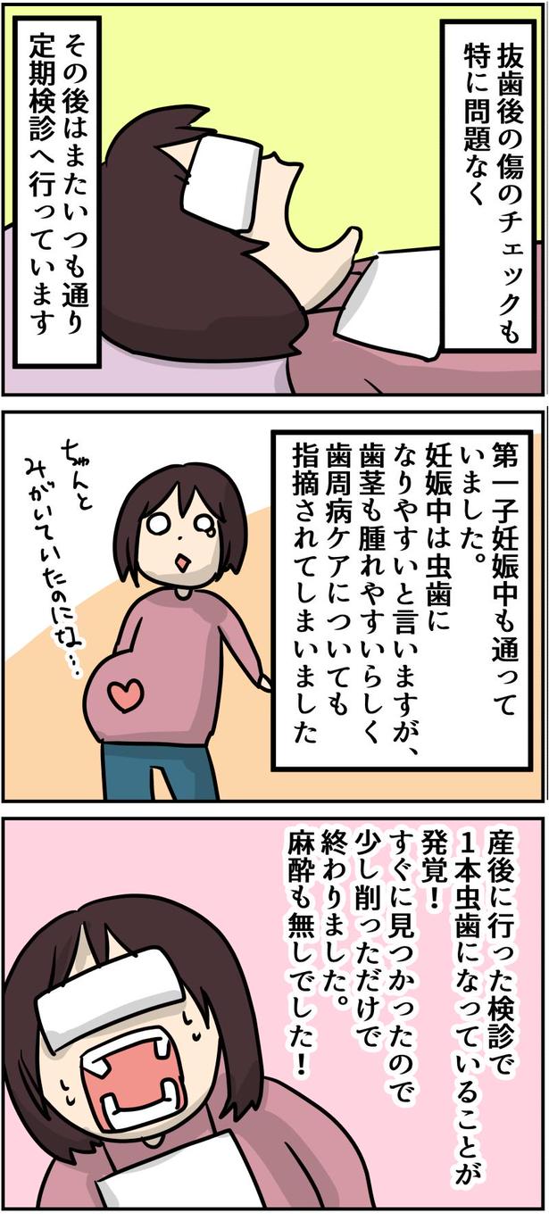 19-1 画像提供：しゃけなかほいさん
