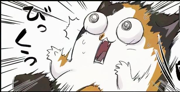 『猫のそこそこな日常譚』が話題