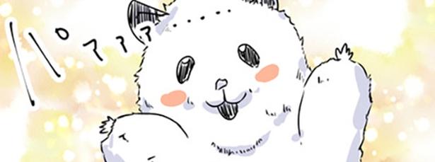 普段はかわいいハムスターなのだが…