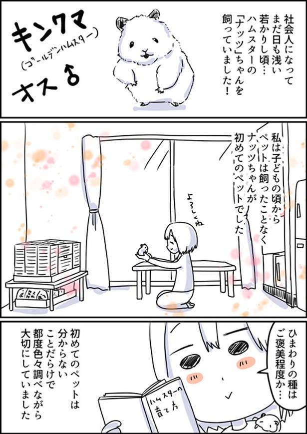 「ハムスター飼ってた時の話」1-1