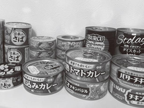 食品：主食系のほかに、サバ缶やツナ缶、フルーツ缶などの缶詰、離乳食など （C）タイチョー、みぞぐちともや