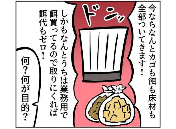 第3回より