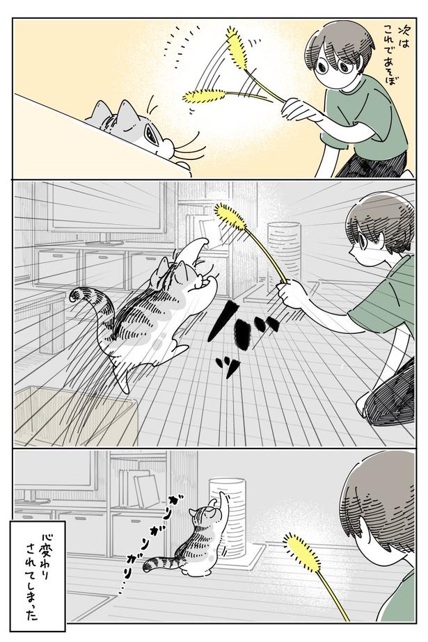 02 画像提供：キュルZ@kyuryuZ