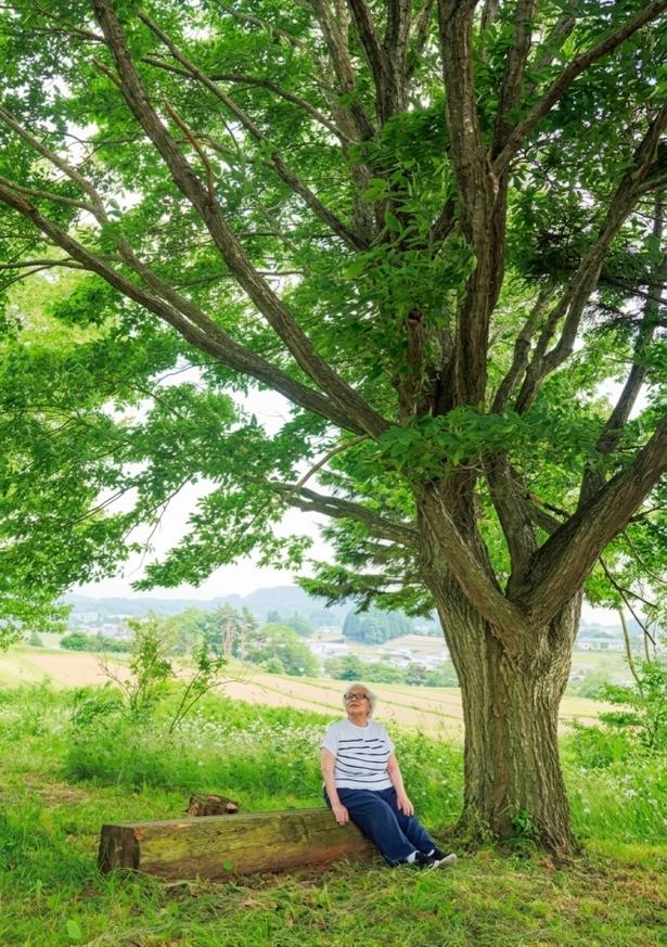  庭でくつろぐために、材木屋に頼んで作ってもらったシンプルなベンチ。にぎやかにさえずる鳥たちに声をかける。