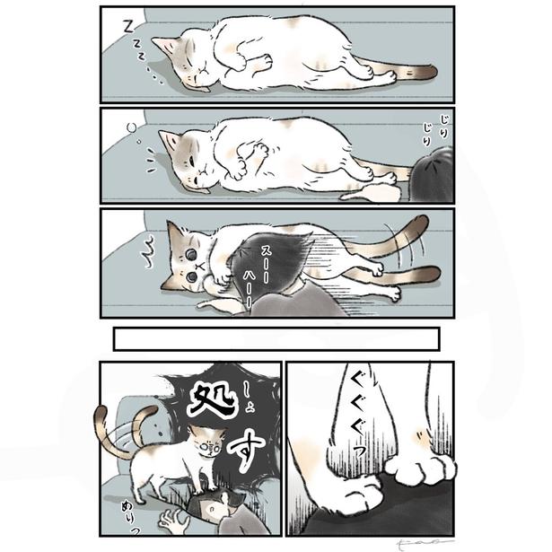 『めりこみの刑に処す』より