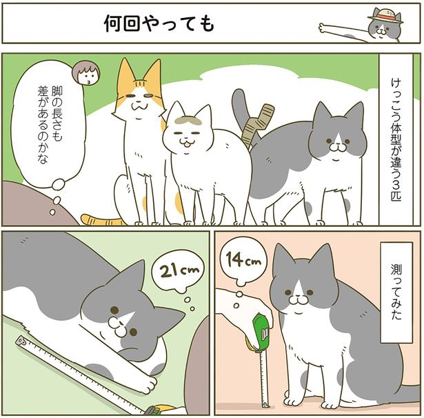 何回やっても （C）卵山玉子／KADOKAWA