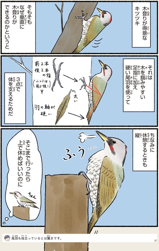 休憩するときも縦 （C）piro piro piccolo／KADOKAWA