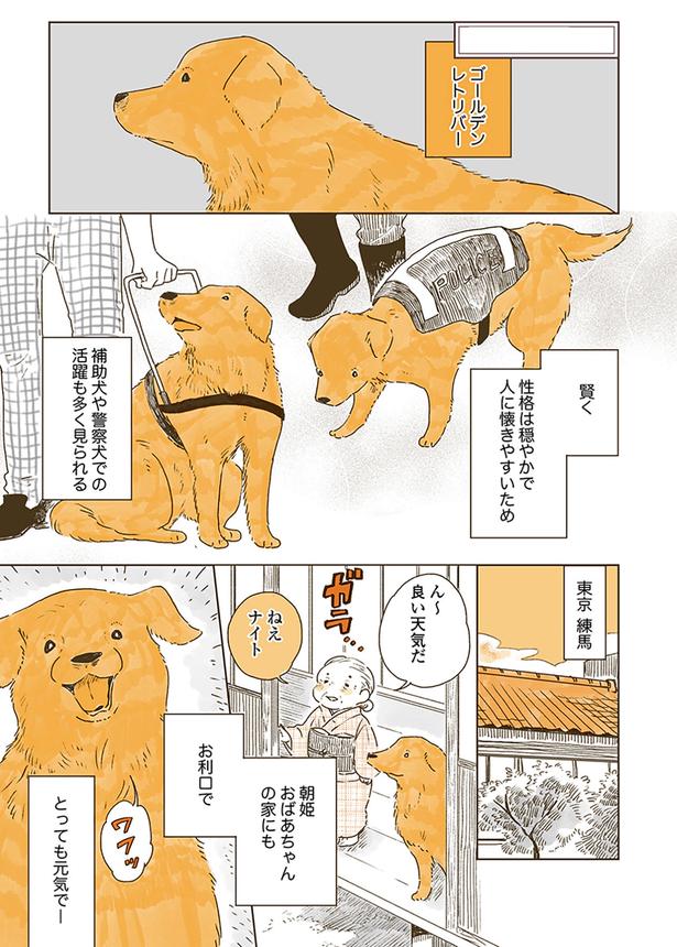 ん～　良い天気だ　ねえナイト （C）佐倉イサミ／KADOKAWA