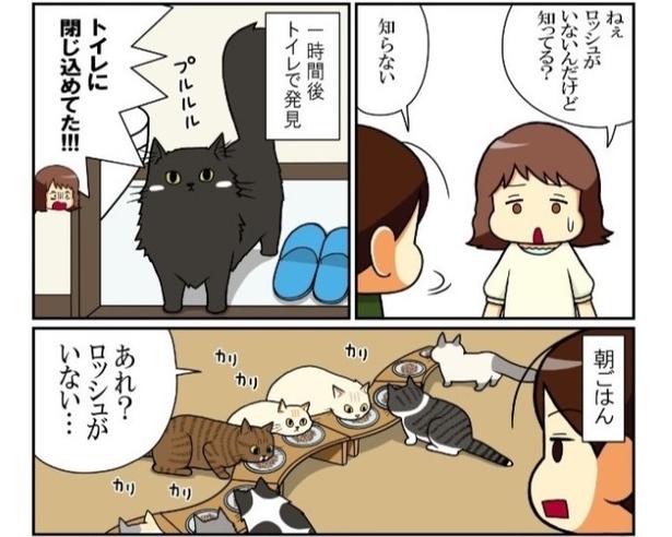 黒猫はなぜか閉じ込められがち!?夜はなおさら闇と同化してしまう!!