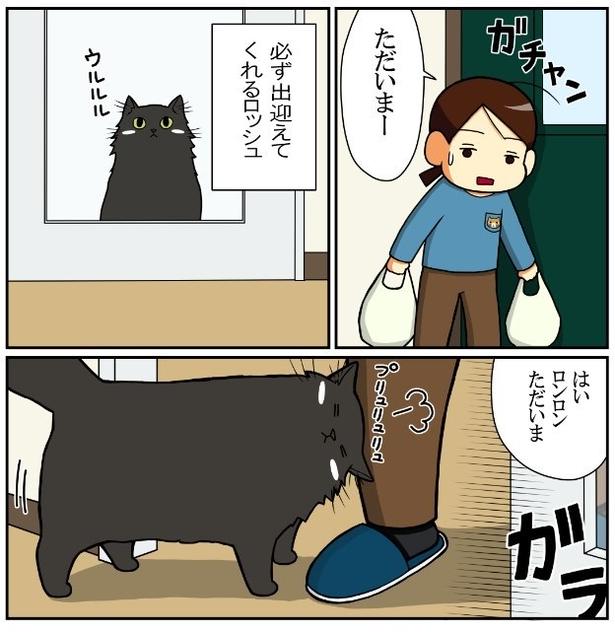 お迎えに出てきてくれる賢いロッシュ