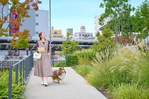 携帯用の愛犬ご近所マップで大阪の秋を満喫