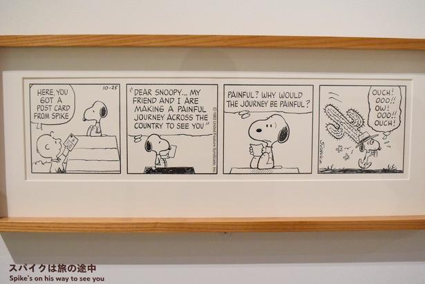 日本初公開となる「ピーナッツ」のコミック原画「スパイクは旅の途中」