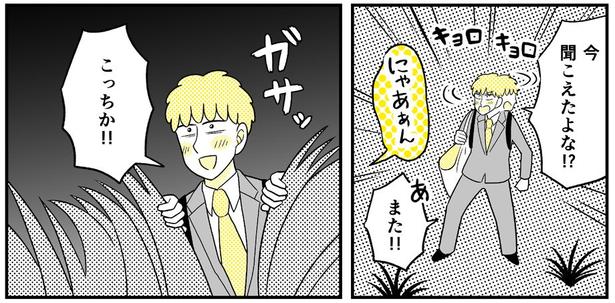 動物にモテるサラリーマンの受難(211)