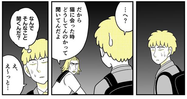 動物にモテるサラリーマンの受難(218)