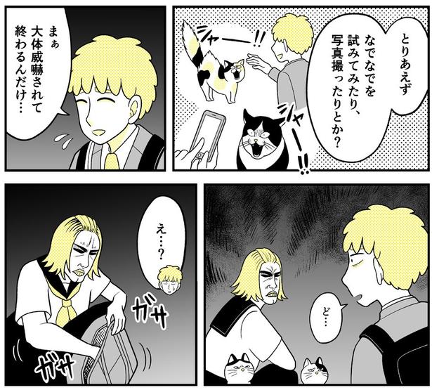 動物にモテるサラリーマンの受難(219)