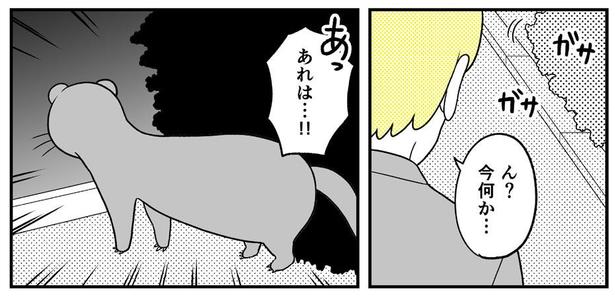 動物にモテるサラリーマンの受難(232)