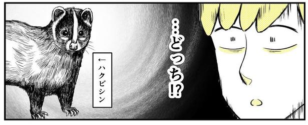動物にモテるサラリーマンの受難(234)