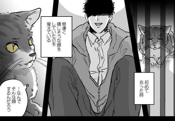 ■画像提供：かっく(@cak221)