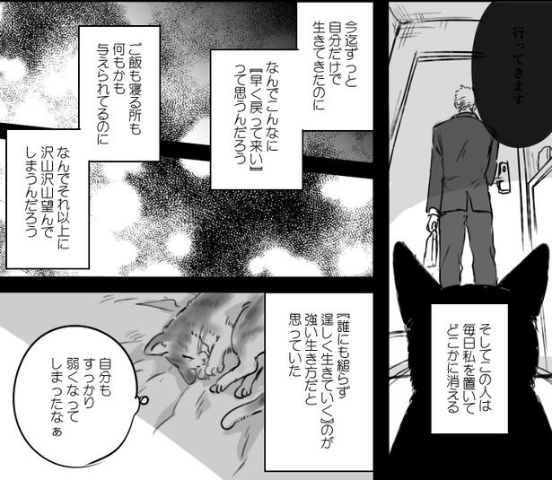 ■画像提供：かっく(@cak221)