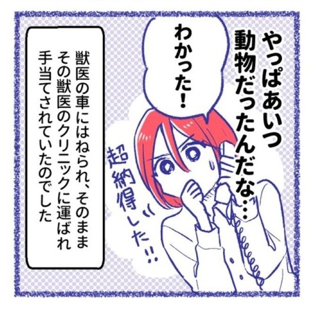 「内臓破裂メモリー」P62