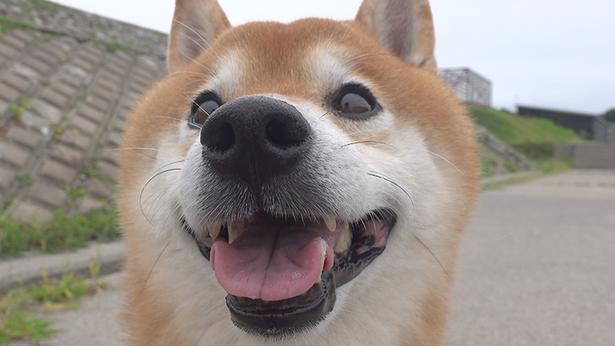 初めての体験にワクワクするはちくん