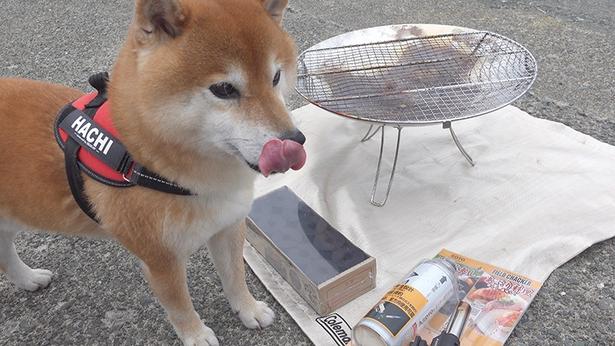焚き火台をセットして、肉を焼く準備
