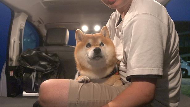 はちくんが初めての車中泊に挑戦！