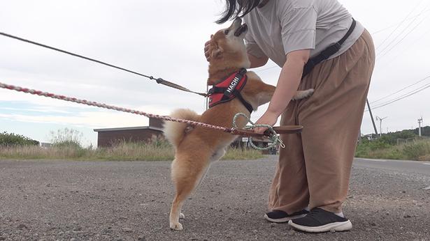 迎えにきてくれたママさんを見つけて、とってもうれしそう
