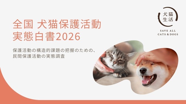 全国120団体の回答から犬猫の保護活動の実態をまとめた「全国 犬猫保護活動 実態白書2026」が公開