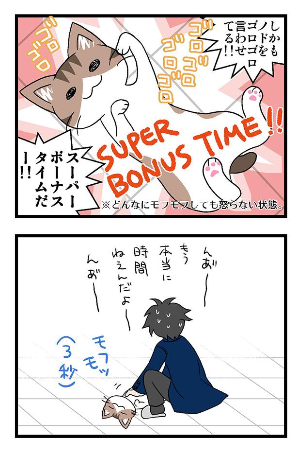 モフモフ選手権・朝の部。時間がないけど、かわいい猫を前にしたら逆らえない…