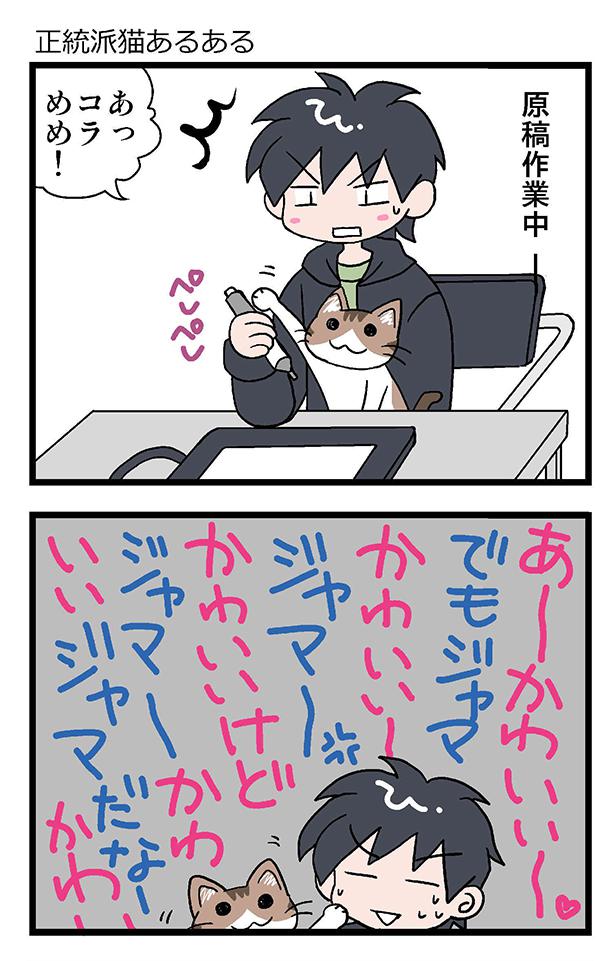 『初猫物語』正統派猫あるある 1