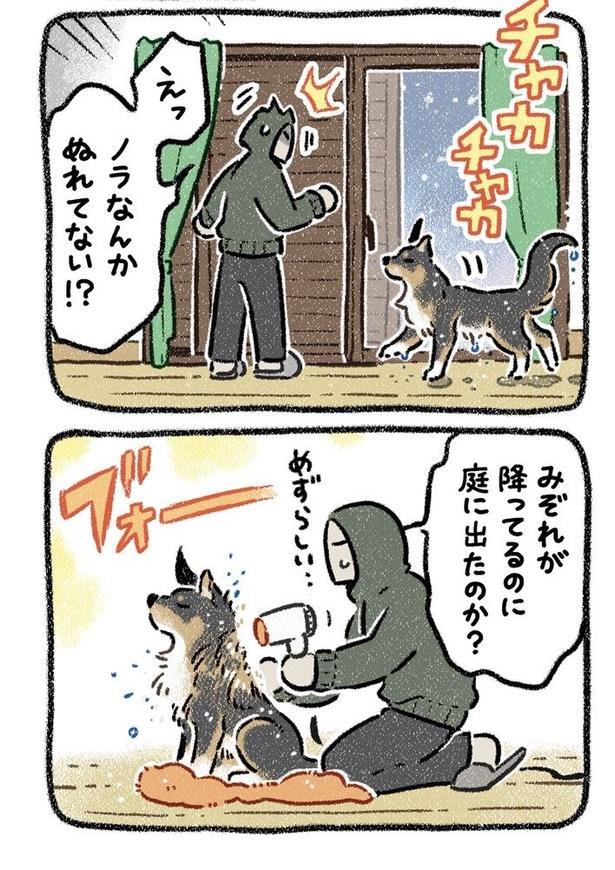 みぞれねこ①02 画像提供:(C)ヨシモフ郎