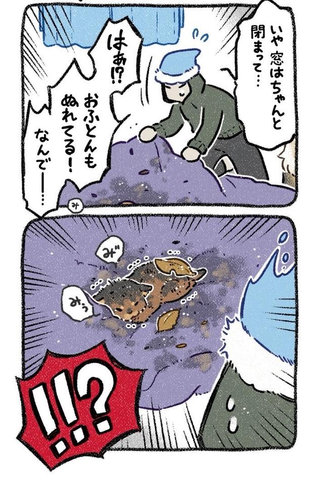 みぞれねこ①04 画像提供:(C)ヨシモフ郎