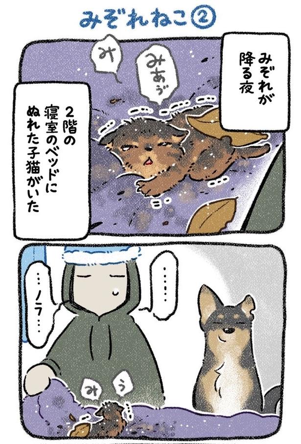 みぞれねこ②01 画像提供:(C)ヨシモフ郎