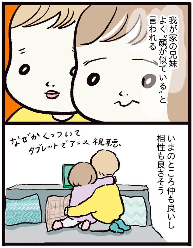 相性も良さそう （C）まぼ／KADOKAWA