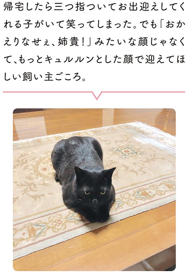 帰宅したら三つ指ついてお出迎えしてくれる子がいて笑ってしまった （C）AKR／KADOKAWA
