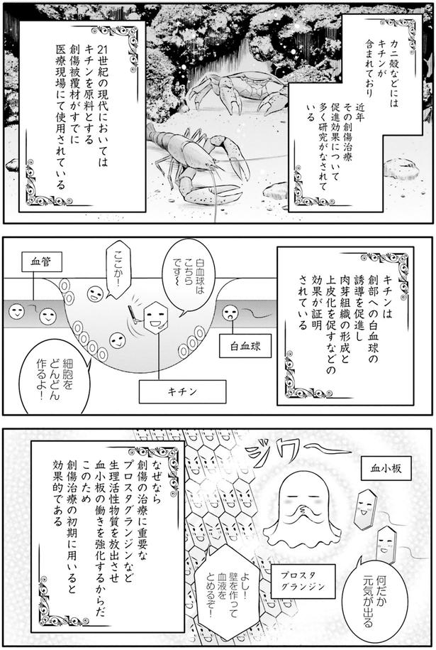 キチンは （C）みやのはる、堀江宏樹／　KADOKAWA