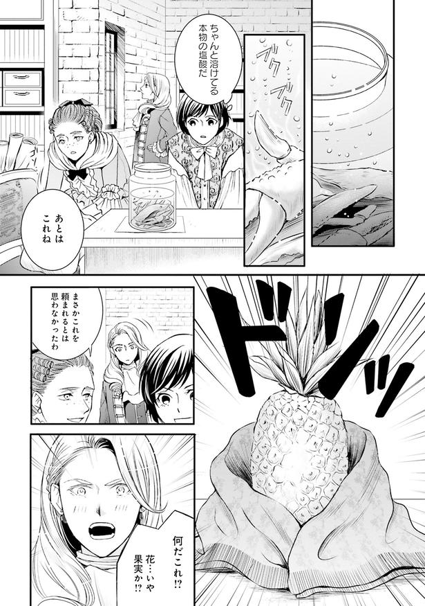 何だこれ！？ （C）みやのはる、堀江宏樹／　KADOKAWA