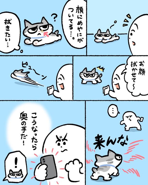 『逃げる猫の捕獲方法』(1／3)